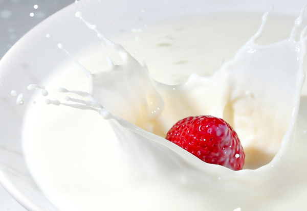 オーガニック牛乳とは？選び方から栄養、普通の牛乳との違い