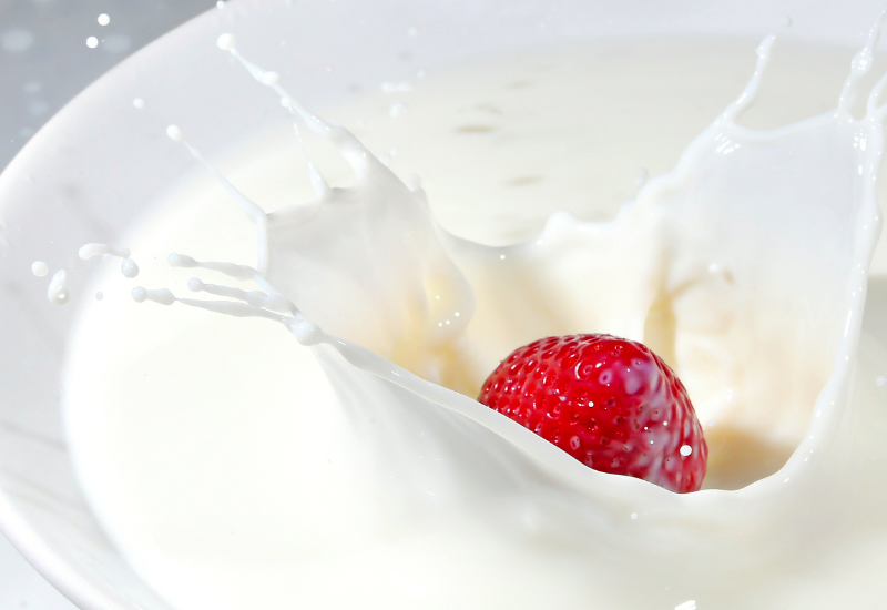 オーガニック牛乳とは？選び方から栄養、普通の牛乳との違い