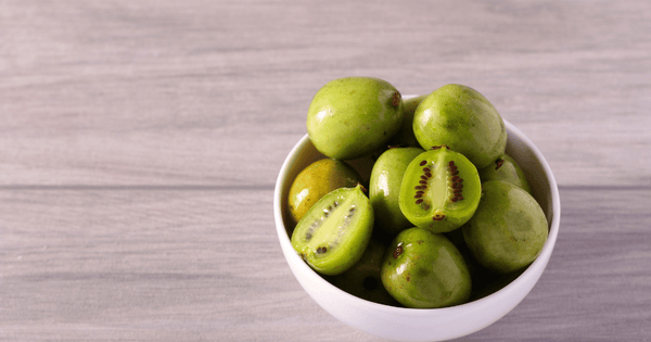 沖縄の二つのクーガ：ナシカズラの果実とクーガ芋の魅力