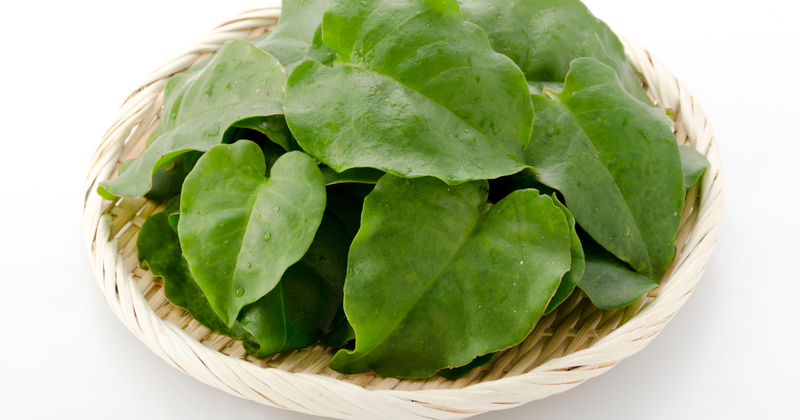 おかわかめはアク抜き必須？おいしく食べるための下処理方法と簡単レシピ