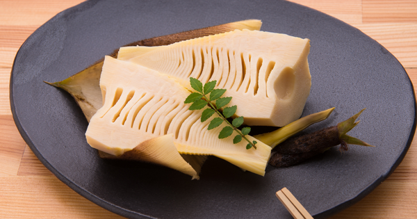 水煮たけのこ冷凍保存術｜鮮度を保つ方法と活用レシピ