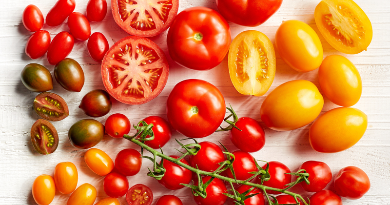 知られざる美味！トマトの種類と特徴を徹底解説