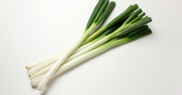 ねぎの旬はいつ？冬のねぎが甘くて美味しい理由と選び方