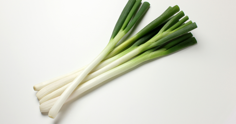 ねぎの旬はいつ？冬のねぎが甘くて美味しい理由と選び方