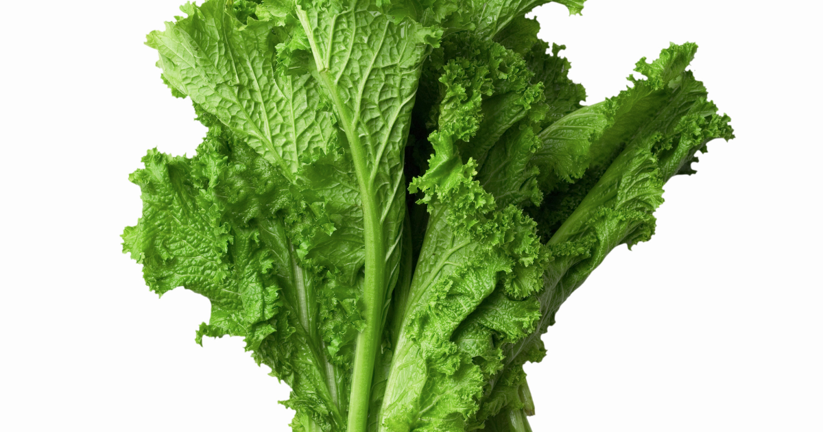 【完全ガイド】カラシナ栽培：品種選びから収穫、自家製マスタード、病害虫対策まで