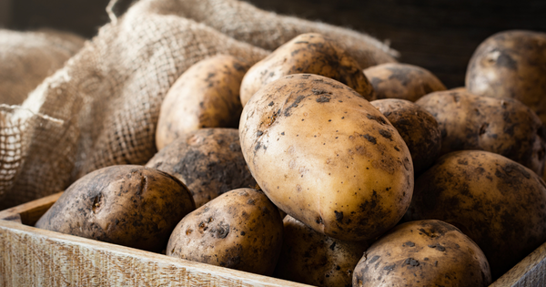 いも栄養素：知っておきたい健康効果と種類別活用術