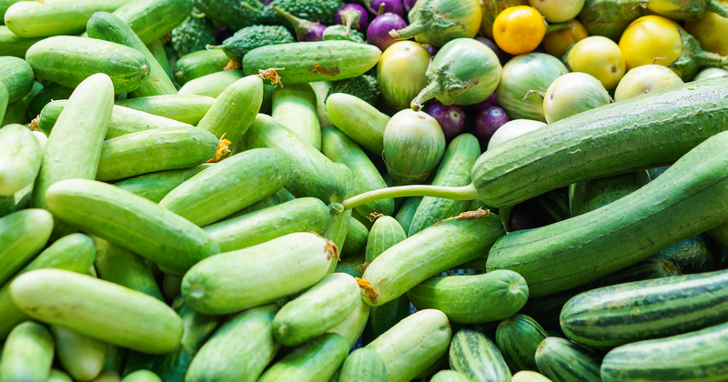 知られざるキュウリの世界：品種一覧と特徴徹底解説