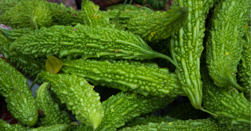 ゴーヤーを長持ちさせる！鮮度を保つ保存方法と秘訣