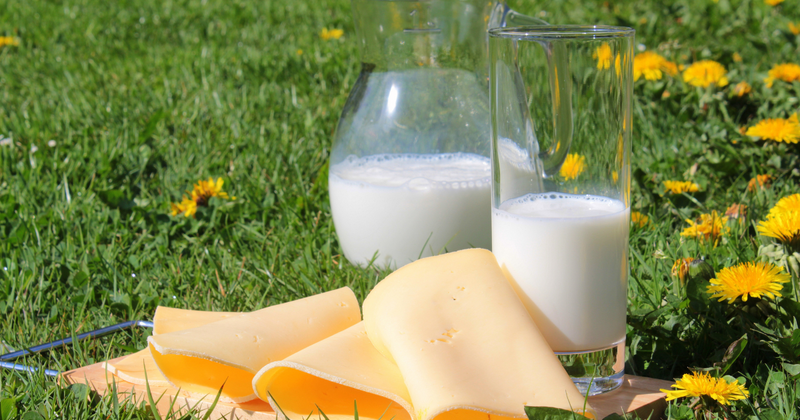 牛乳の栄養価：健康を支えるミルクの力
