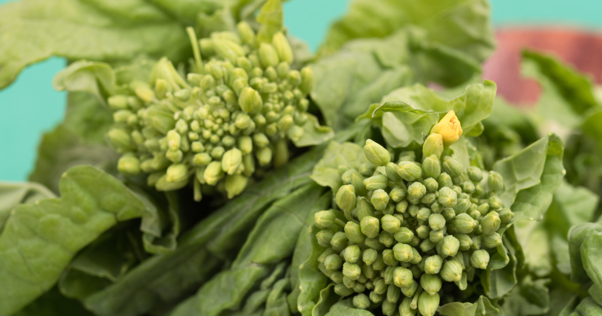 春の食卓を彩る「菜の花」徹底ガイド：菜花との違い、栄養満点な選び方、絶品レシピ