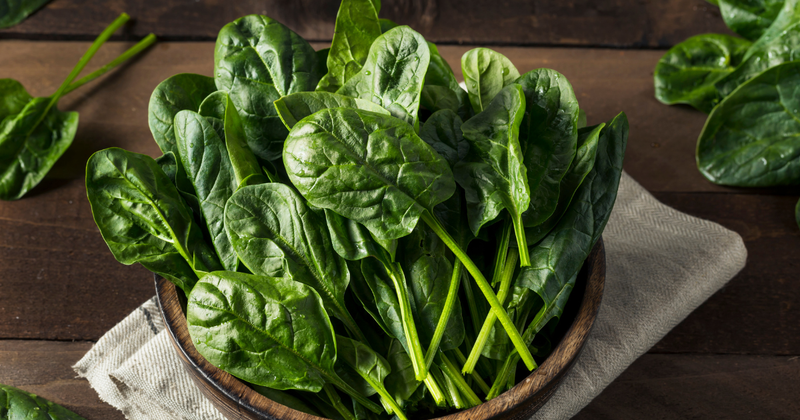 【初心者でも簡単！】プランター菜園で楽しむホウレンソウの育て方｜栽培のコツと注意点