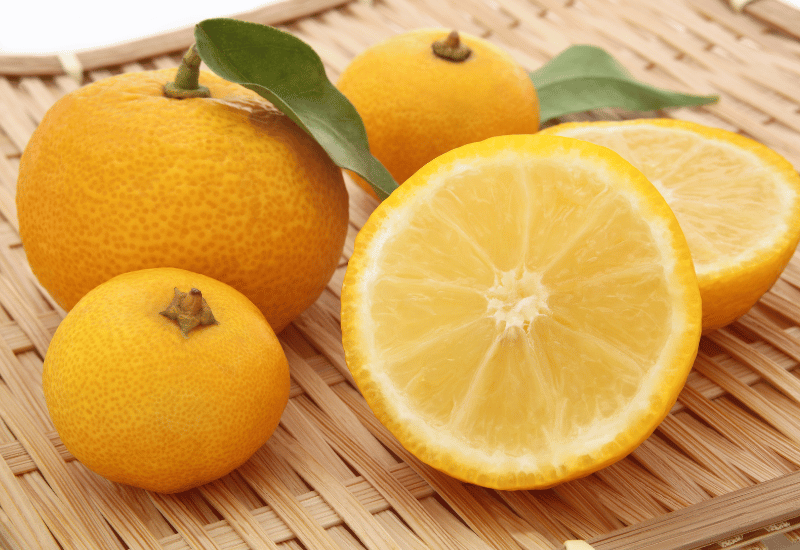 柚子の種類：代表的な品種から希少品種まで徹底解説