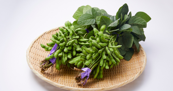 プロが教える！枝付き枝豆も美味しく茹でる、最高の茹で方完全ガイド