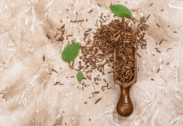 ほうじ茶は血圧を下げる？効果・効能と飲む際の注意点を解説
