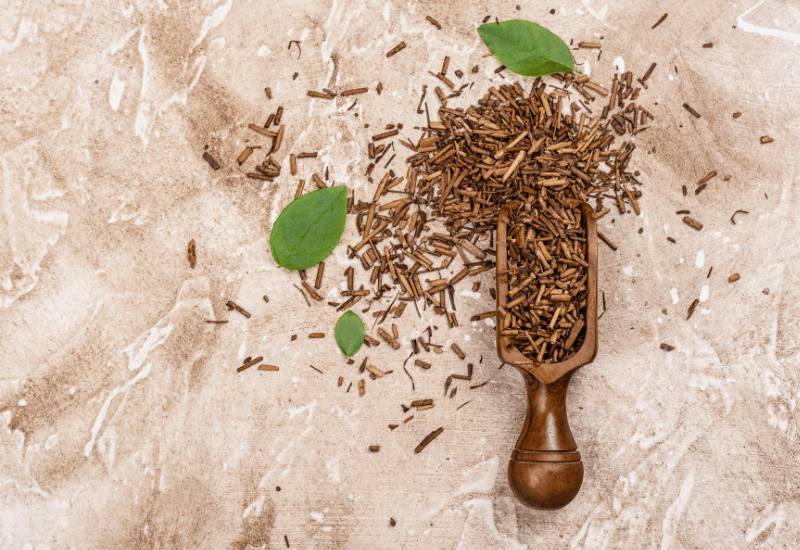 ほうじ茶は血圧を下げる？効果・効能と飲む際の注意点を解説