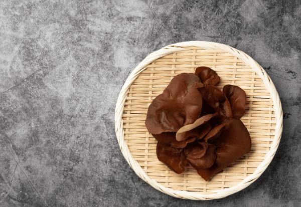 生キクラゲの真髄を徹底解剖！ 稀少な食感、乾燥キクラゲとの違い