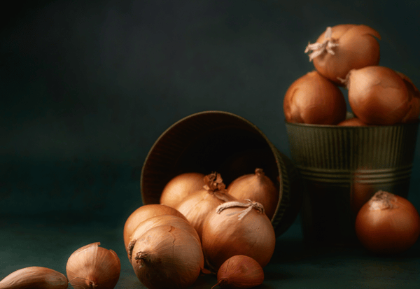 知っておきたい玉ねぎの力：健康効果から調理法まで