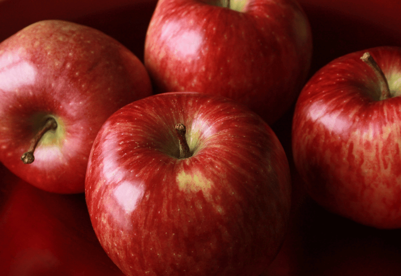 青森りんご栽培普及の軌跡：日本一への道