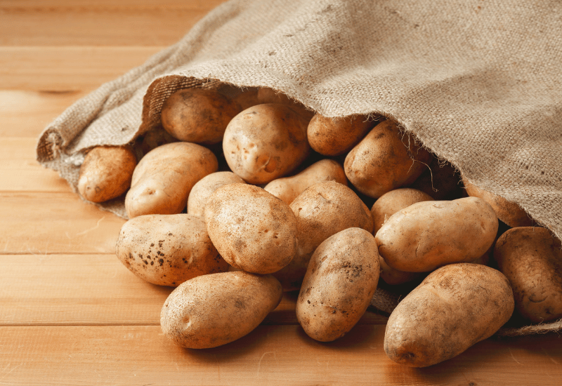 根菜の種類：知っておきたい栄養と調理法