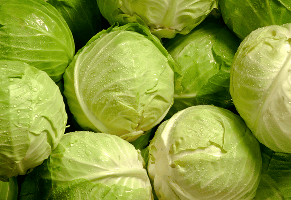 春キャベツとは？旬・特徴・冬キャベツとの違いを徹底解説！