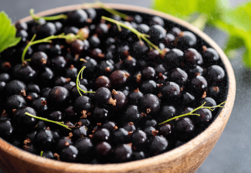 ブラックカラントとは？知っておきたいカシスの秘密：特徴、旬、活用法