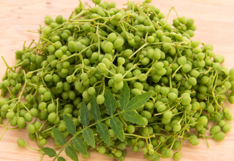 山椒の実、乾燥方法と風味を長持ちさせる保存術