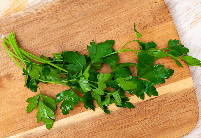 せりとは？せりの魅力と活用術を徹底解説！