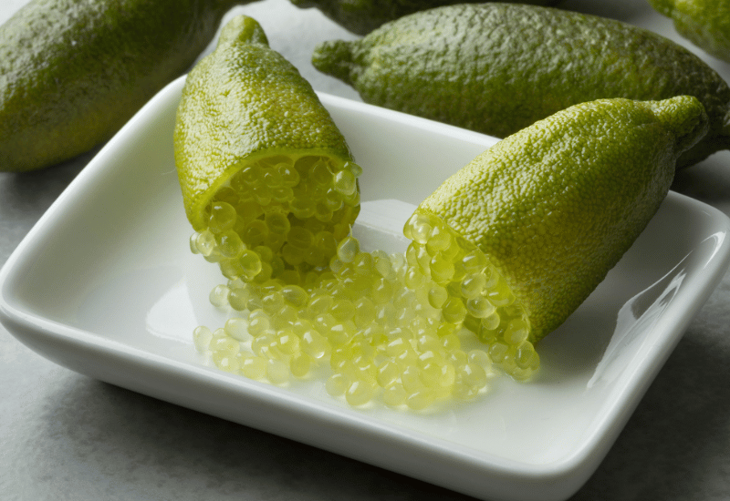 フィンガーライムとは？：プチプチ食感が楽しい「森のキャビア」の魅力