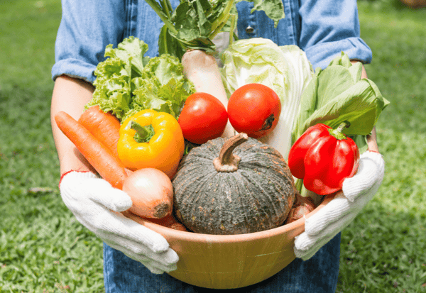 知っておきたい野菜の種類：分類、栄養、選び方のヒント