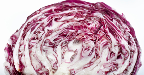 紫キャベツ旬