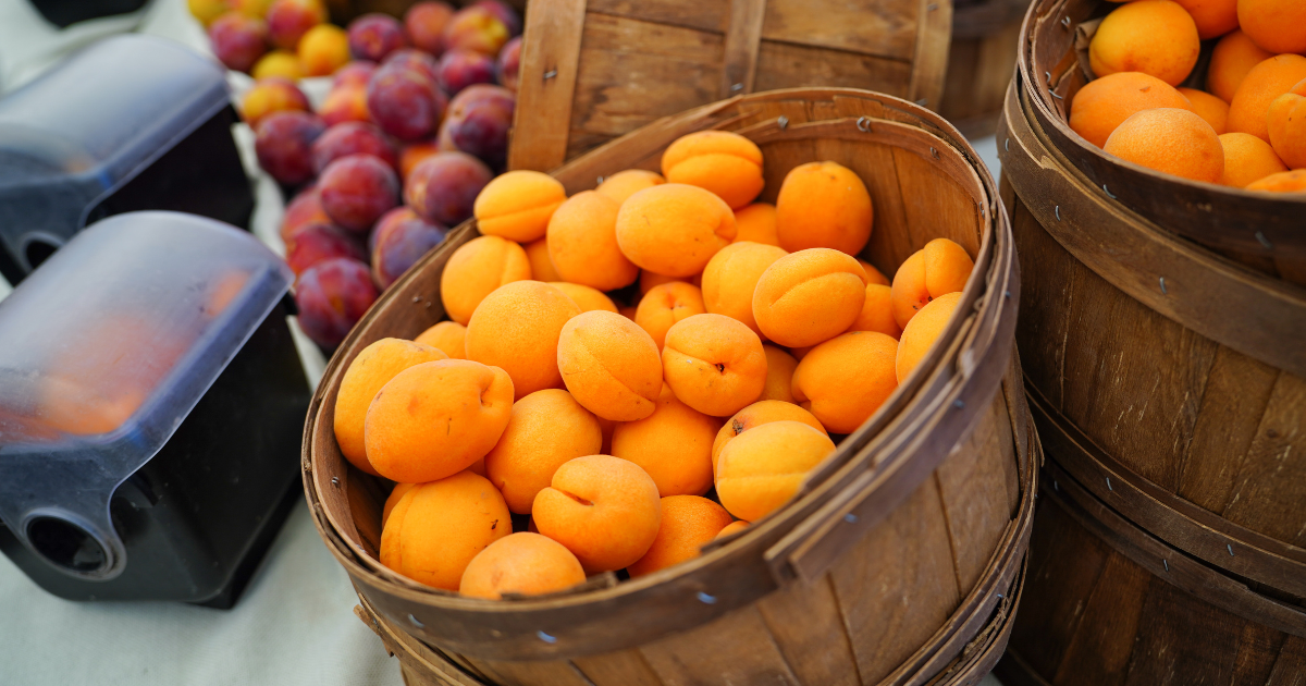 信州千曲市産あんずの魅力：旬を味わう、こだわり製品のご紹介