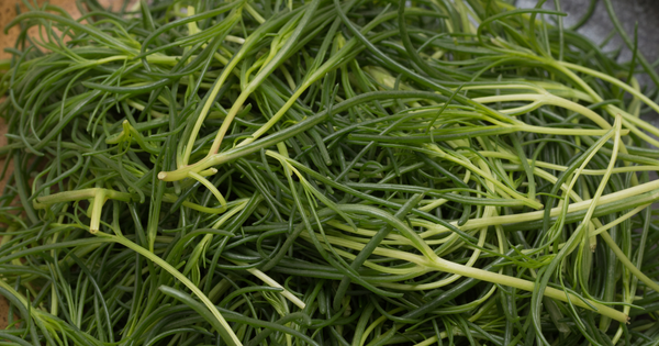 おかひじきの食べ方