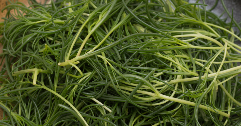 おかひじきの食べ方