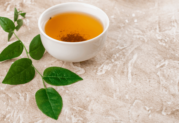 番茶 ほうじ茶 違い