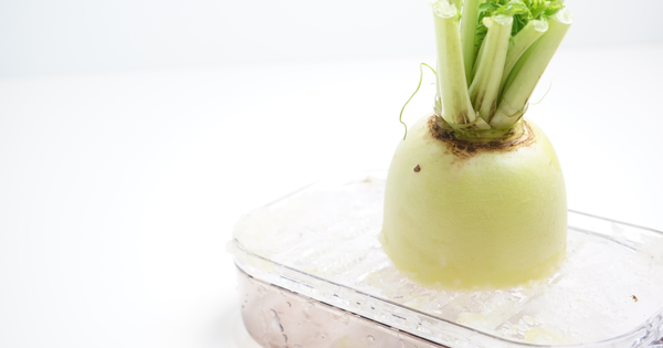 辛い 大根おろし 体 に悪い