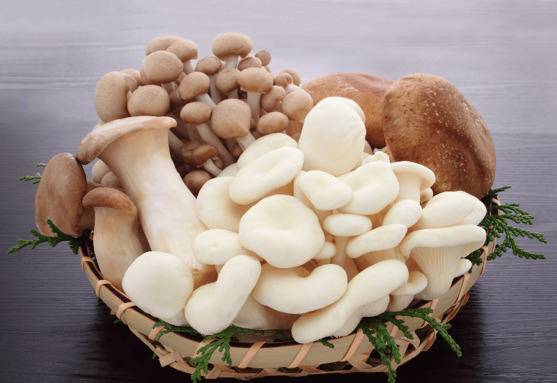 きのこは野菜？生物学的な違いと食生活への賢い取り入れ方