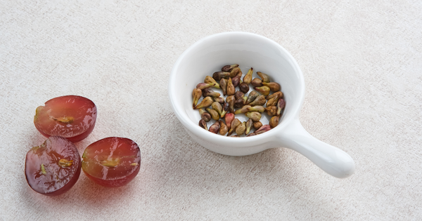 種からブドウを育てる：実がなるまでの道のりと栽培の基礎知識