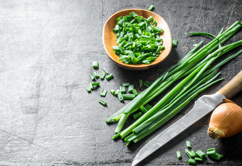 万能ねぎ完全ガイド：小ねぎ、わけぎ、あさつきとの違いから保存方法、栄養まで