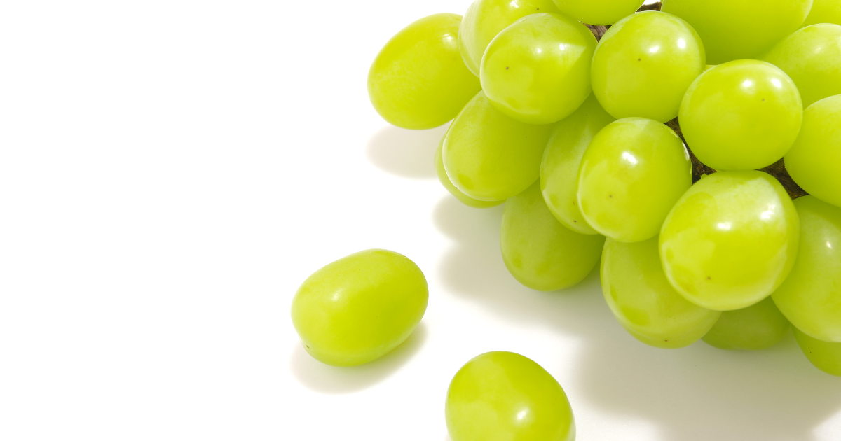 瀬戸ジャイアンツ ぶどう