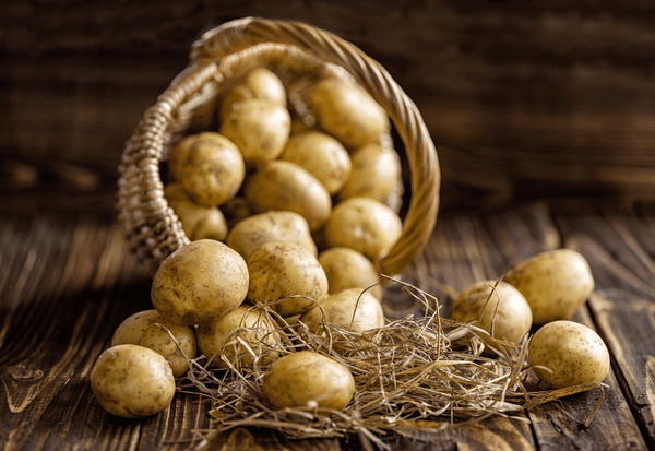 未熟なじゃがいもの見分け方：食中毒を防ぐための完全ガイド