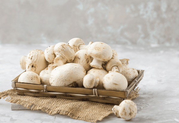 マッシュルームを長持ちさせる保存術：賞味期限から選び方、腐敗の見分け方まで徹底解説