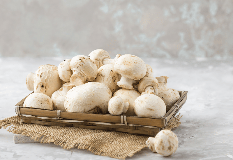 マッシュルームを長持ちさせる保存術：賞味期限から選び方、腐敗の見分け方まで徹底解説