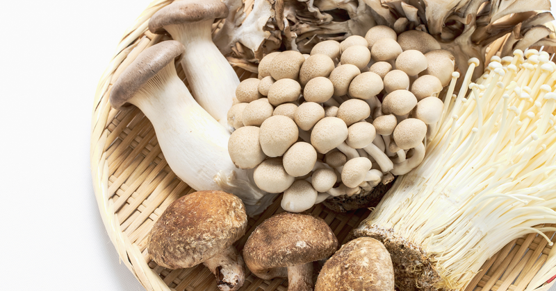 きのこ　冷凍保存