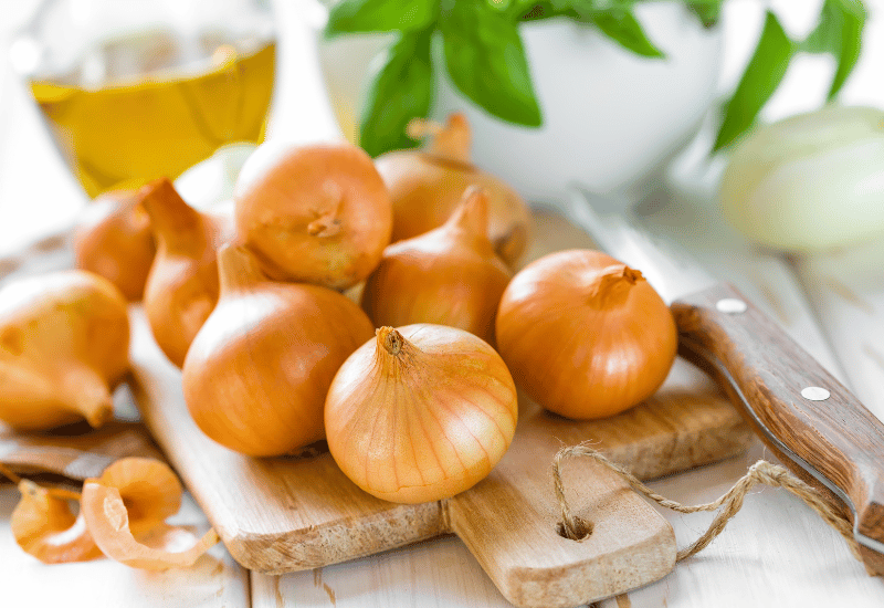 玉ねぎは一体何類？知らないと損する野菜の分類と葉っぱの秘密