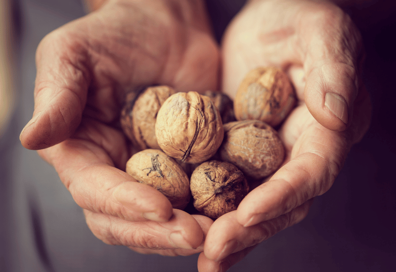 殻付きくるみを味わう：割り方から楽しむ豊かな時間