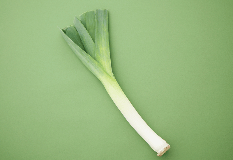 下仁田ネギ：殿様ネギの由来と歴史、特有の栽培方法