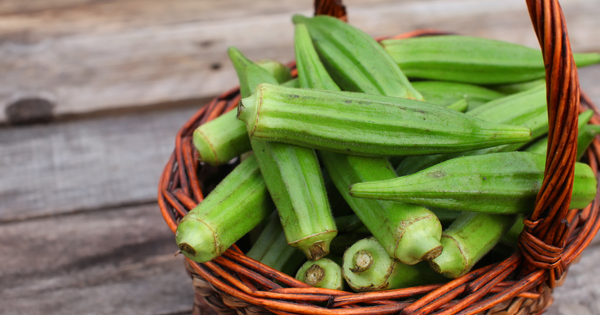 オクラ苗植え方