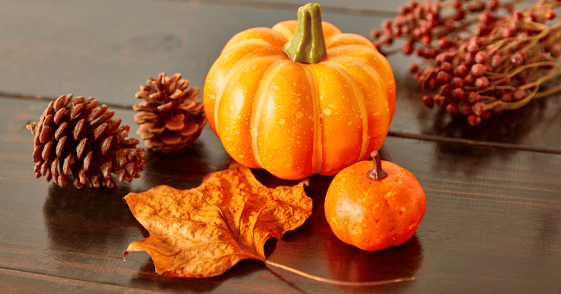 えびすかぼちゃ：美味しさの秘密を探る - 特徴・由来・魅力を徹底解説！