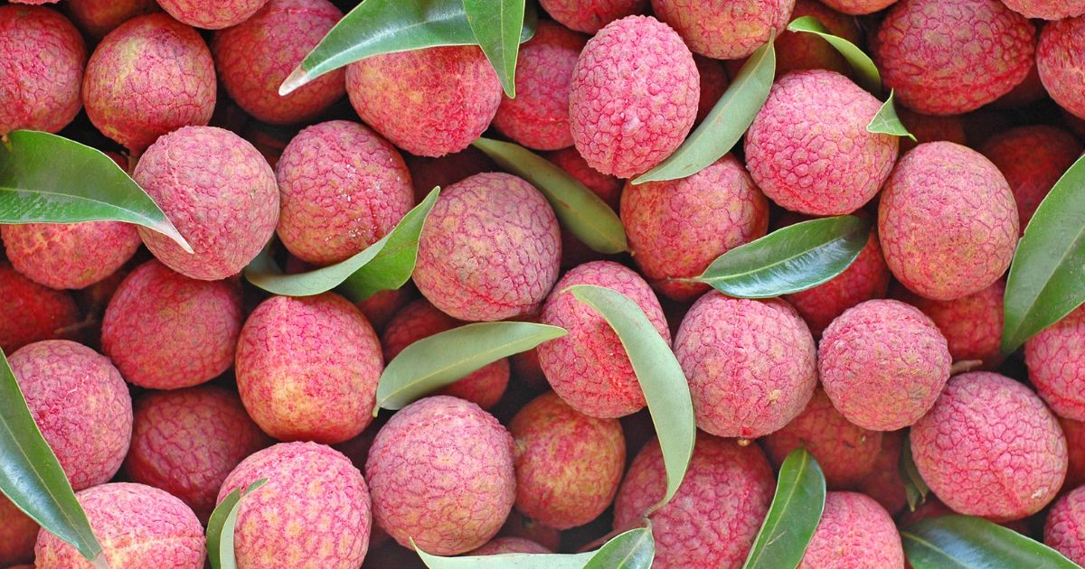 ライチ：漢字で知る、その美しき名の由来と魅力