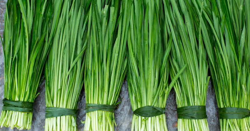 ニラはどこまで食べられる？捨ててしまいがちな根元の栄養と絶品レシピ